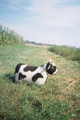 Pouf Cow Lola