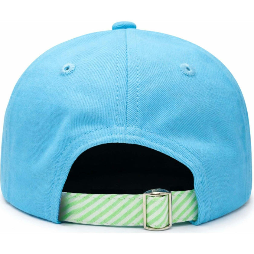Turtle Baseball Hat