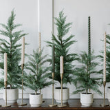 2' Faux Cedar Tree, Set of 2