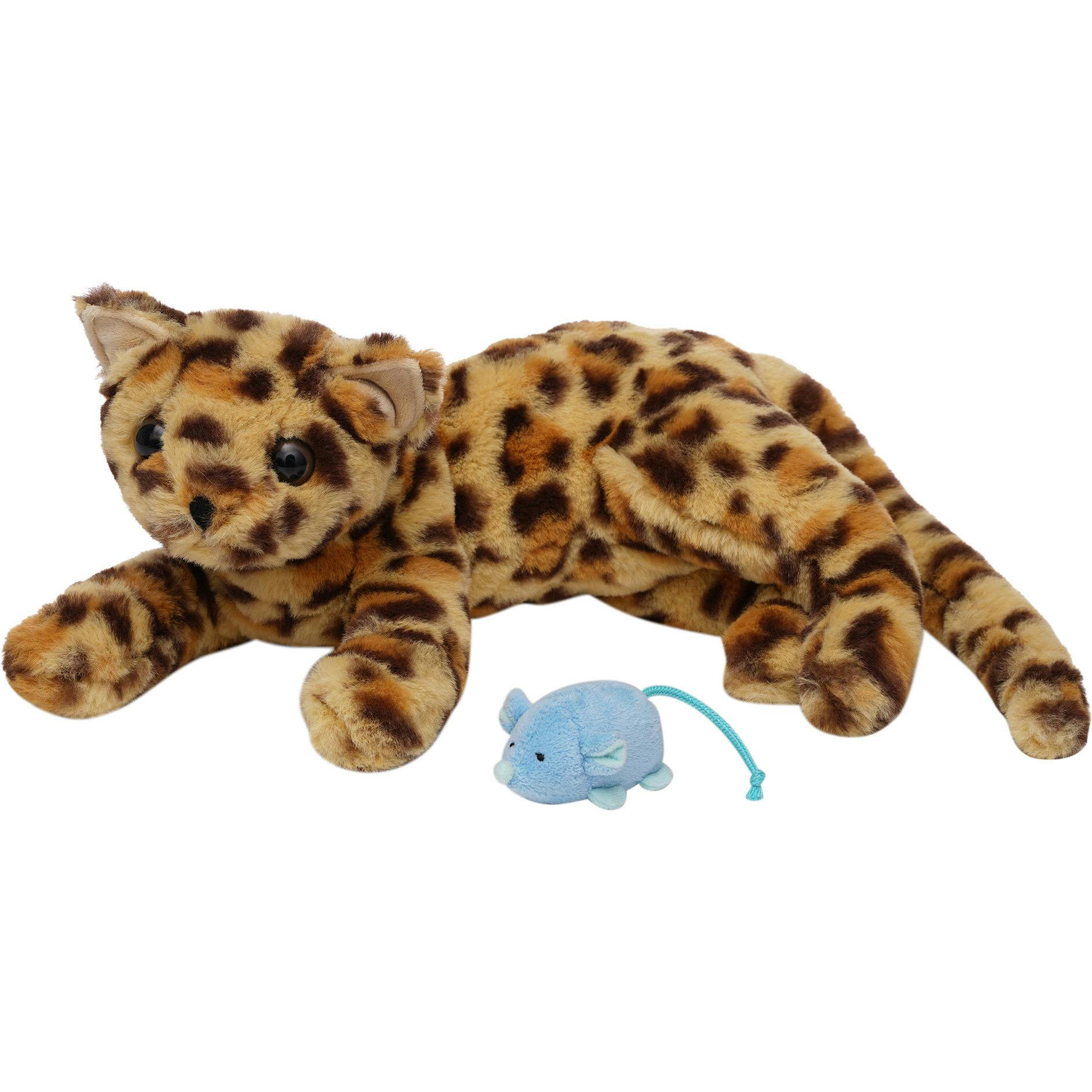 Loki Leopard