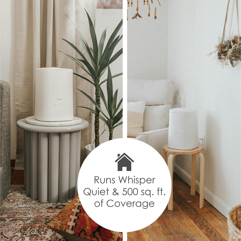 1.2 Gal. Cool Mist Top Fill Humidifier & Aroma Diffuser for Medium to Large Rooms