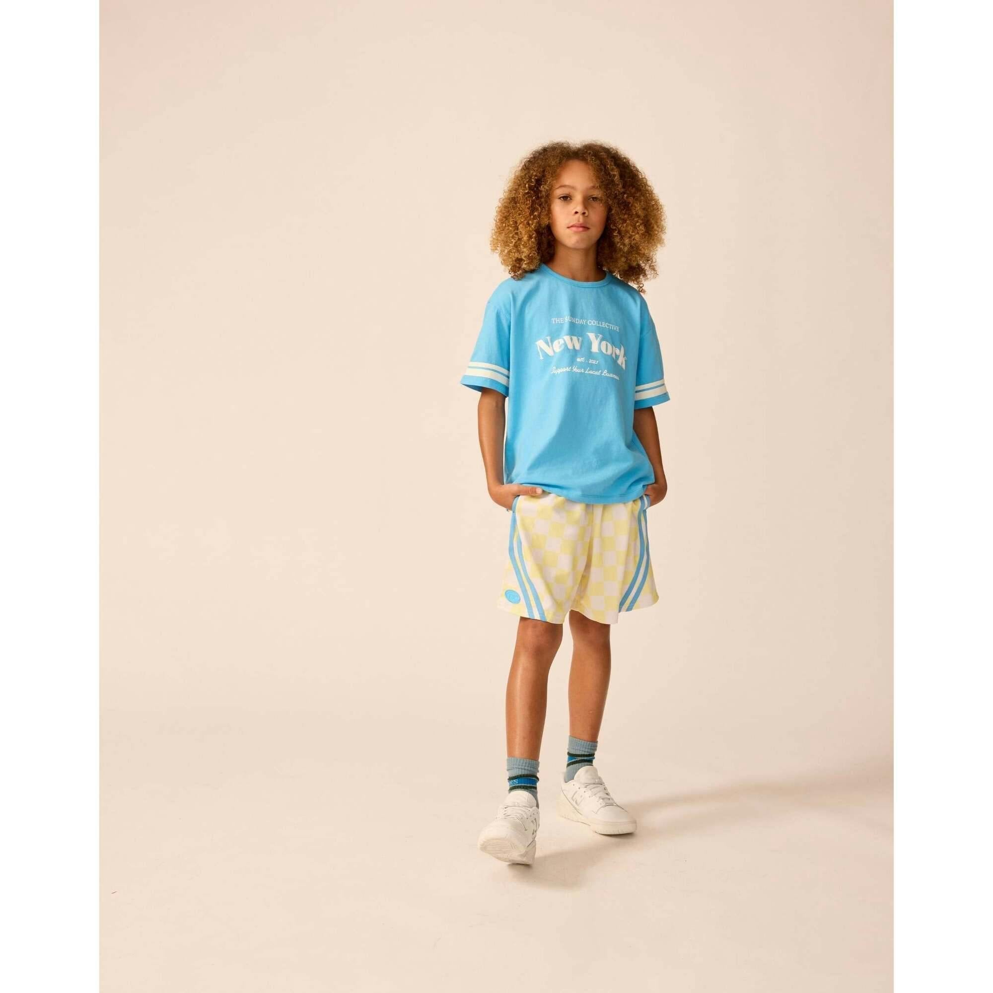 Basketball Shorts in Lemonade Check