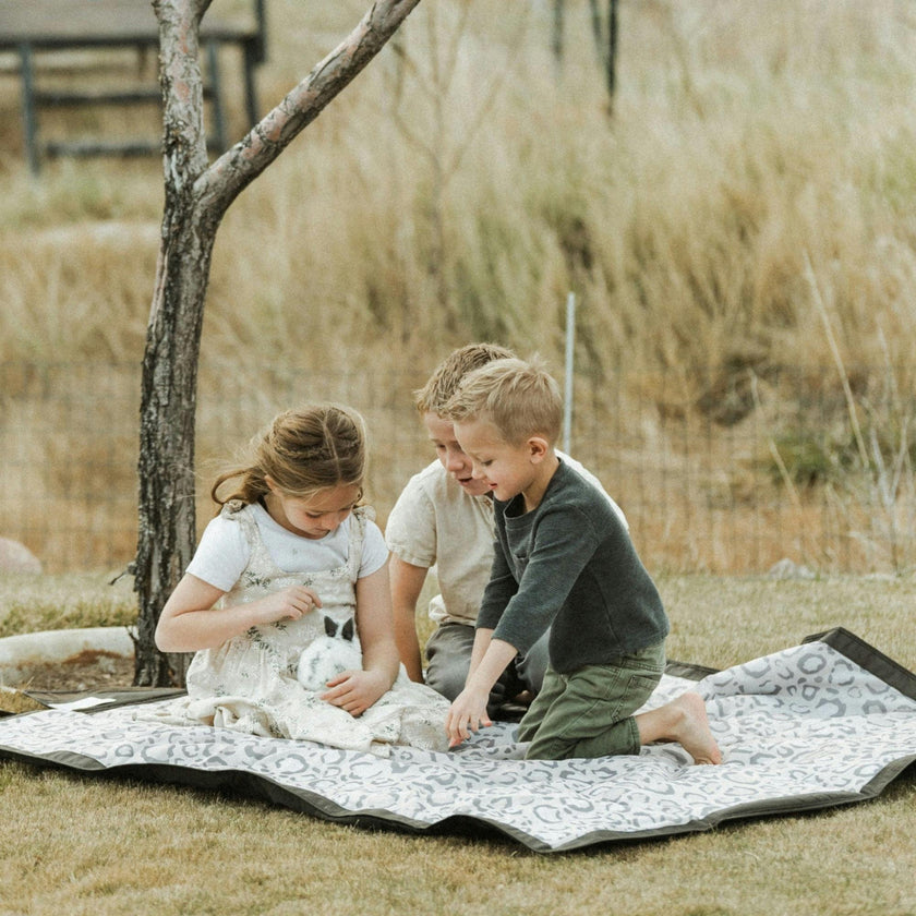 Outdoor Blanket - Snow Leopard