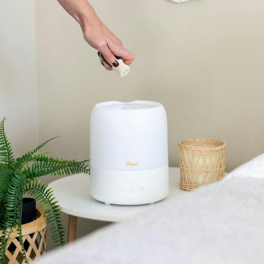 3-in-1 Compact Humidifier, 0.5 Gallon with Sleep Support Light & Aroma Diffuser