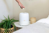 3-in-1 Compact Humidifier, 0.5 Gallon with Sleep Support Light & Aroma Diffuser