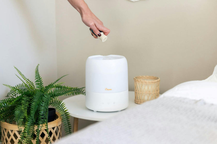 3-in-1 Compact Humidifier, 0.5 Gallon with Sleep Support Light & Aroma Diffuser