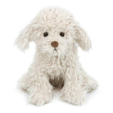 Muffin The Shaggy Puppy
