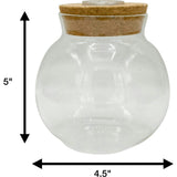 Glass Terrarium: 4" With Cork & 3 LEDs - 2 Pack