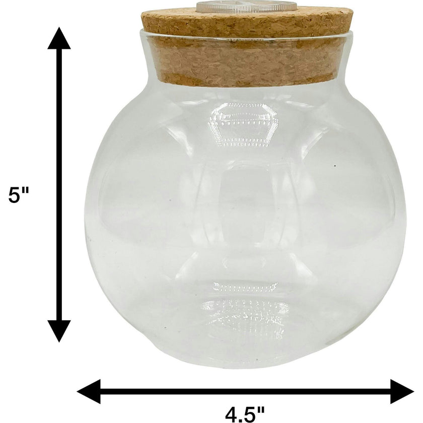 Glass Terrarium: 4" With Cork & 3 LEDs - 2 Pack