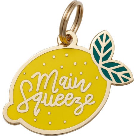 Main Squeeze Pet ID Tag