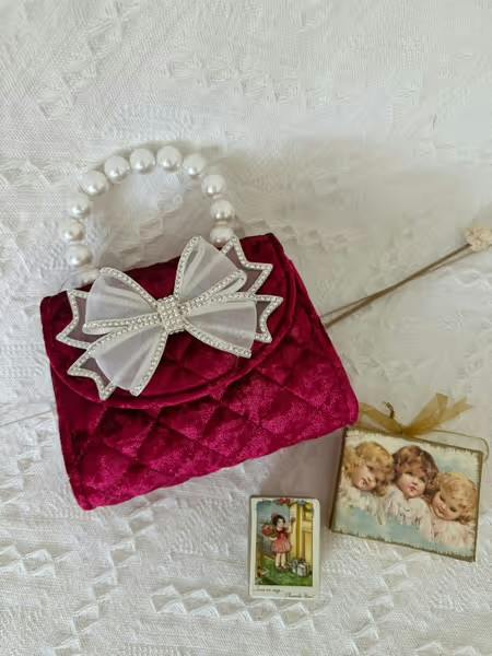 Velvet Purse with Diamond Bow
