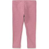 Pointelle Knit Stretch Leggings, Pink