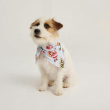 Saint Nicolas Dog Bandana