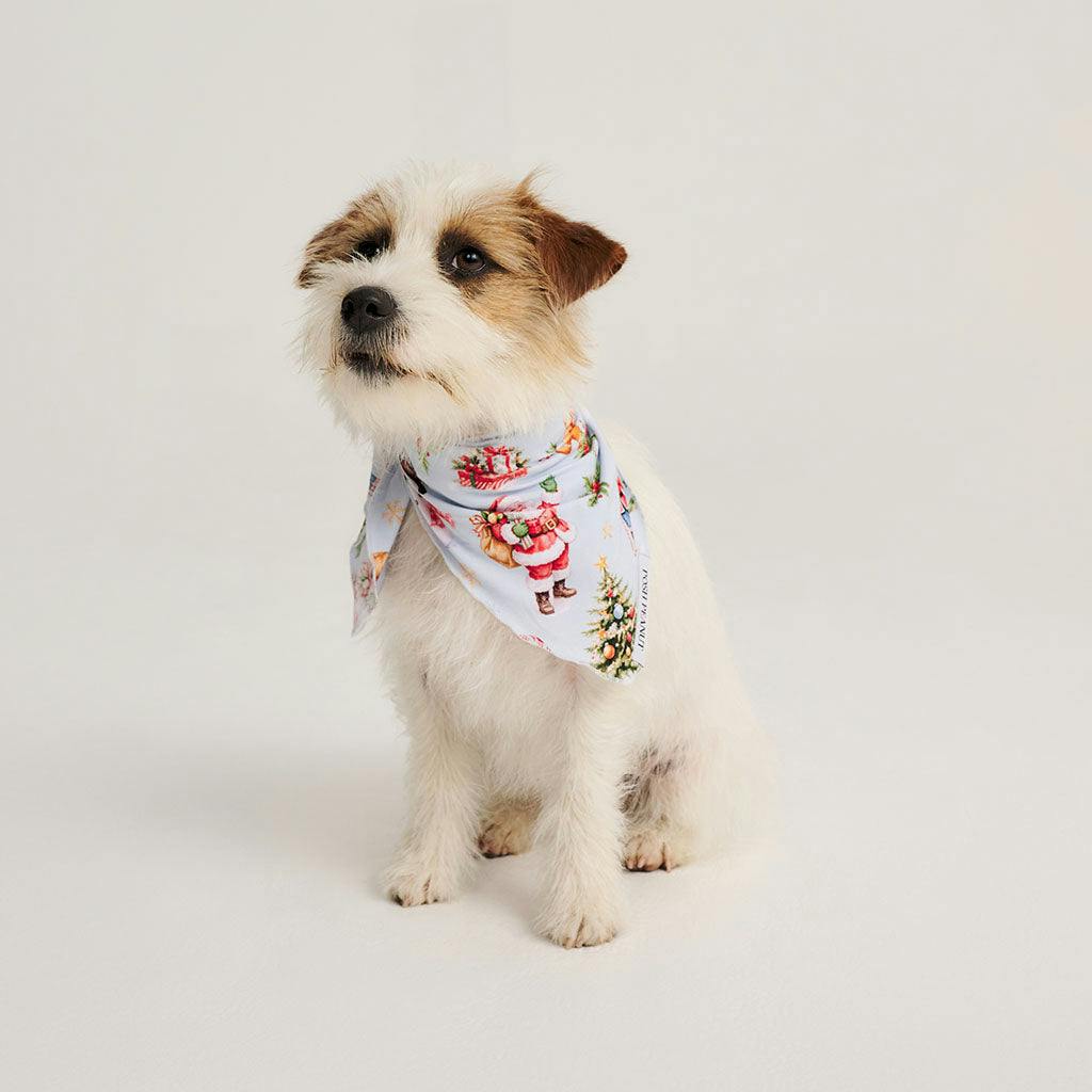 Saint Nicolas Dog Bandana