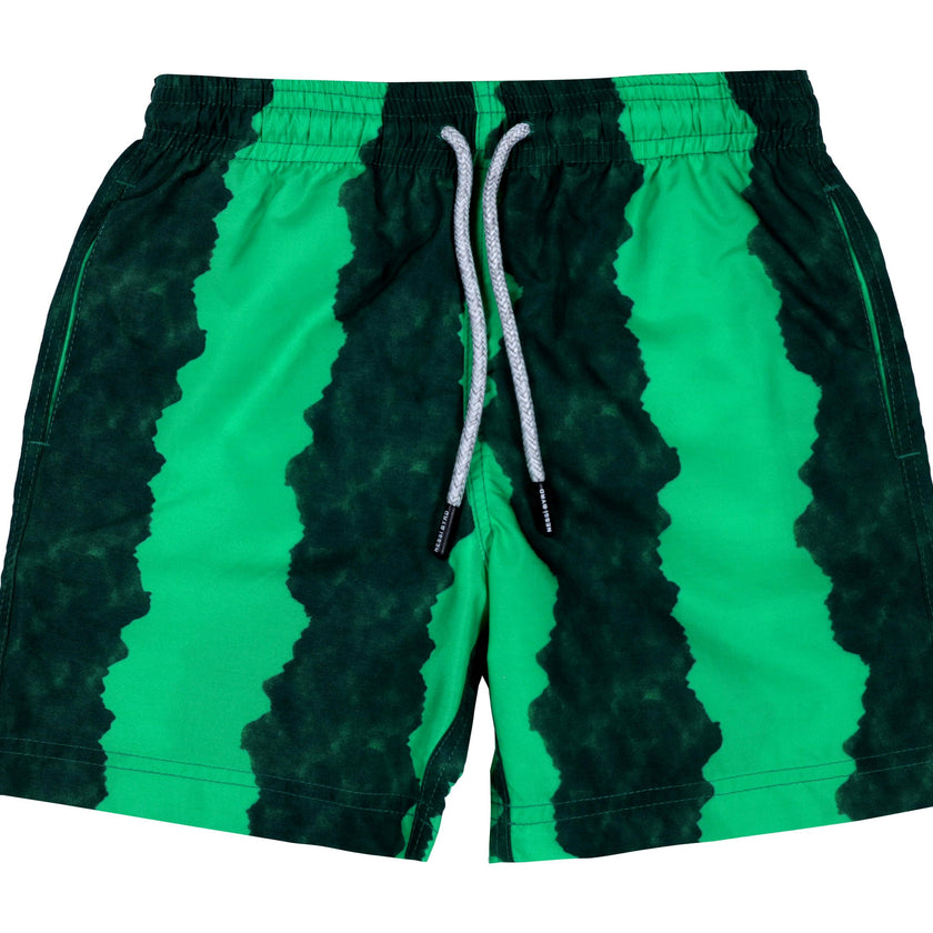 Kids' Green-Black Stripe Quick-Dry Swim Trunks