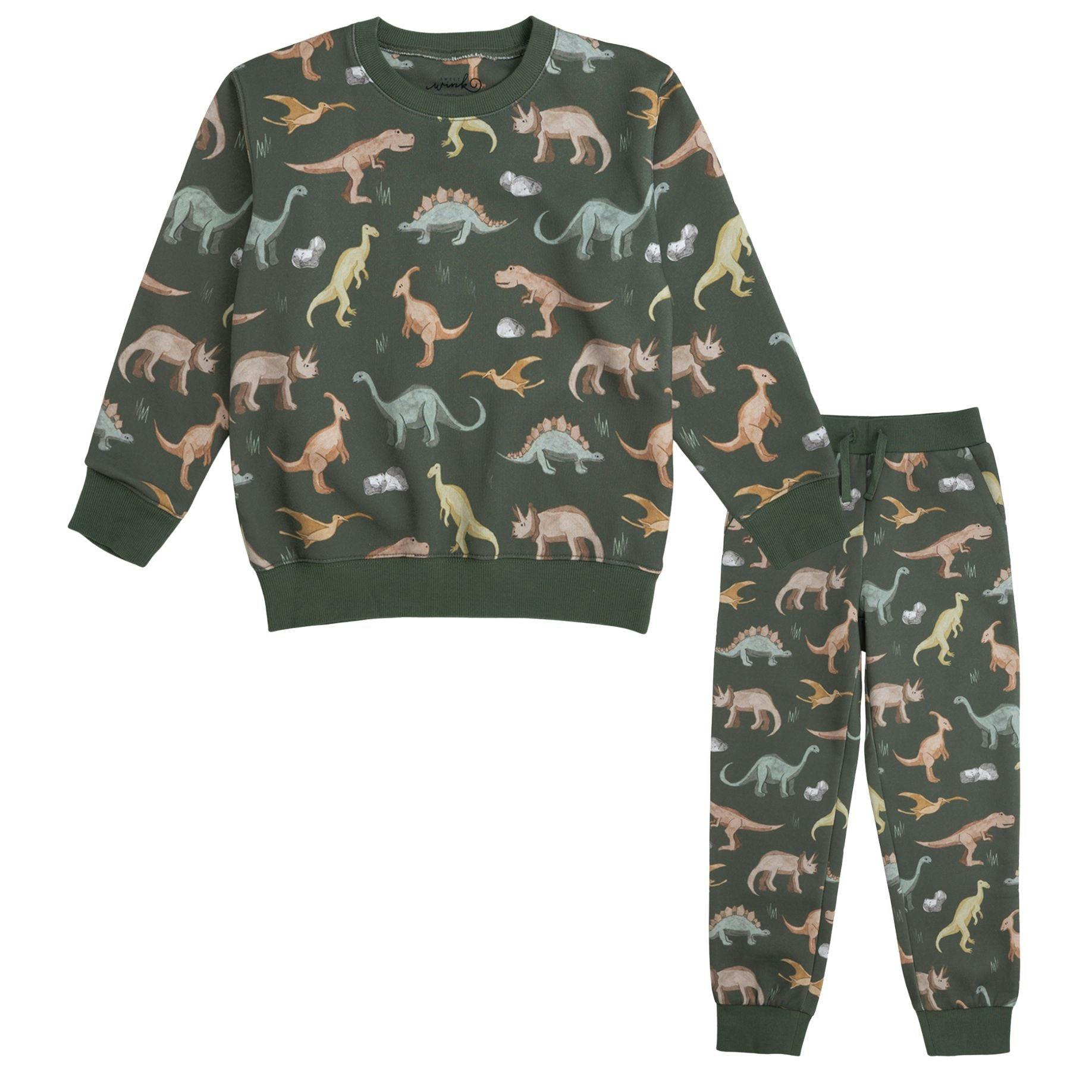 Dinosaurs Rock Sweatshirt & Jogger Set