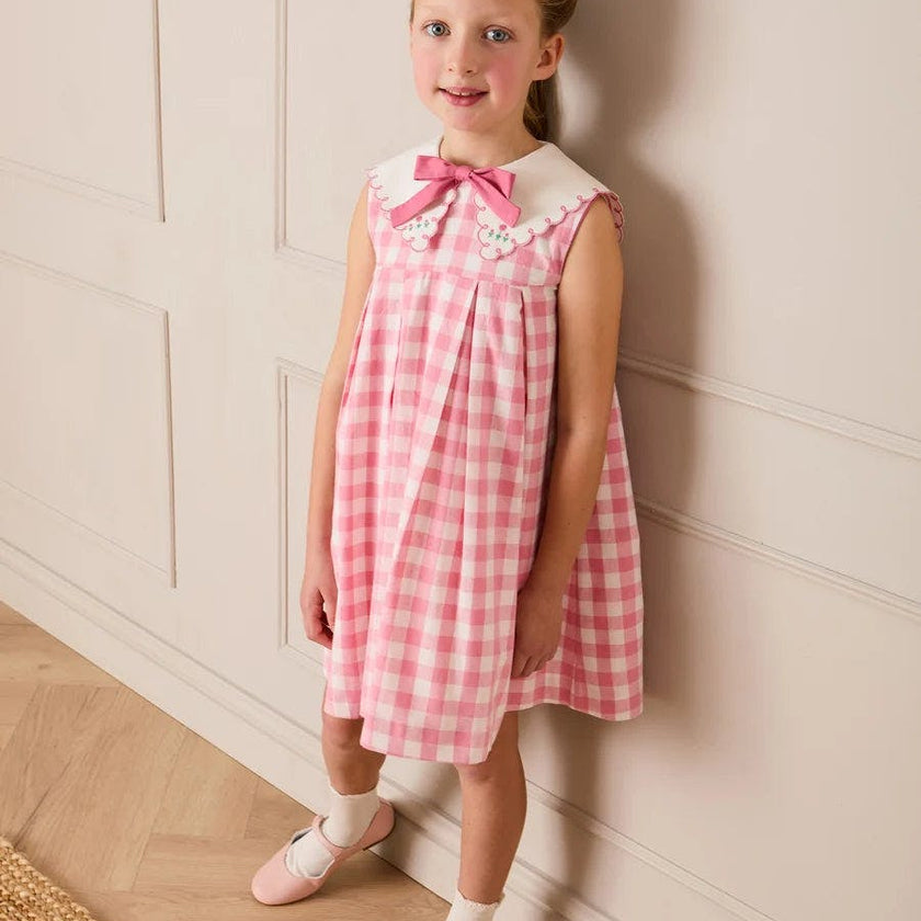 Catherine Gingham Embroidered Sleeveless Trapeze Dress in Pink (12mths- 10yrs)