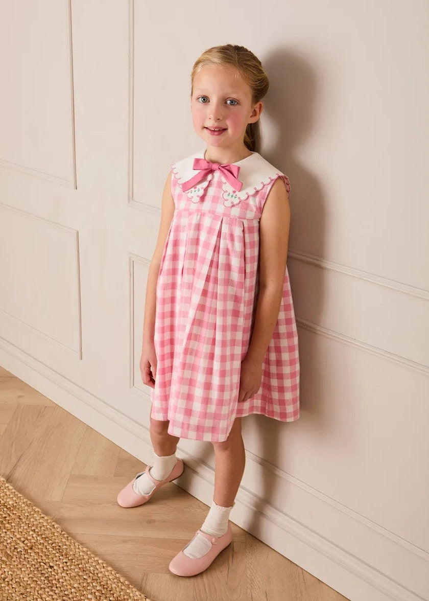 Catherine Gingham Embroidered Sleeveless Trapeze Dress in Pink (12mths- 10yrs)