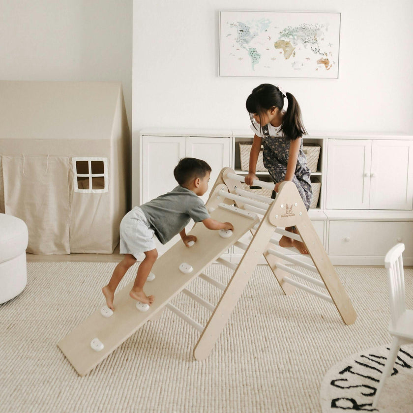 Classic Climber Playset