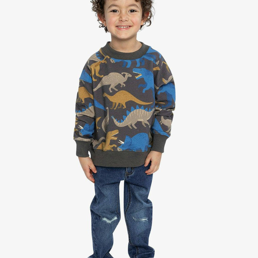 Fleece Sweatshirt Grey Dinosaur Print