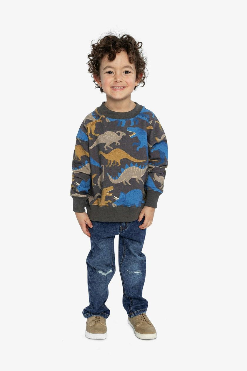 Fleece Sweatshirt Grey Dinosaur Print