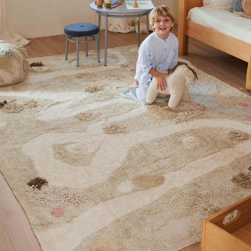 Washable Rug Path