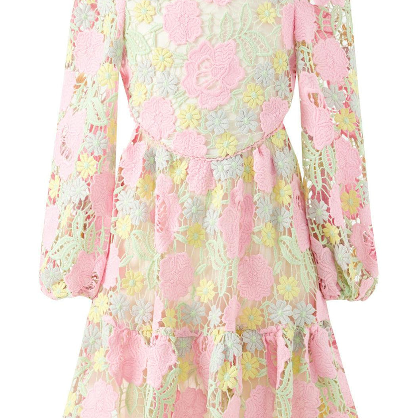 Estella Embroidered Mini Dress