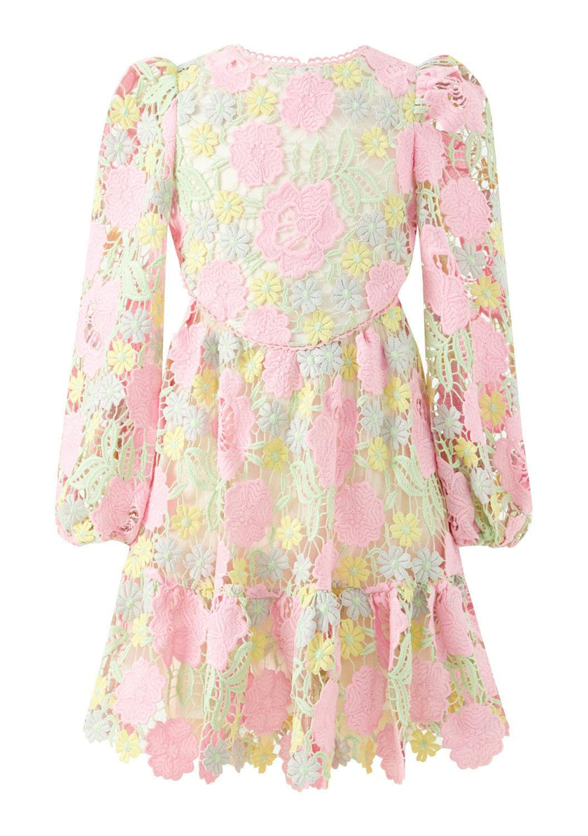 Estella Embroidered Mini Dress