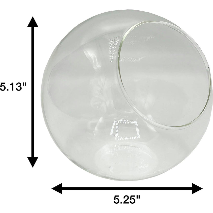 Glass Terrarium: Classic 5"