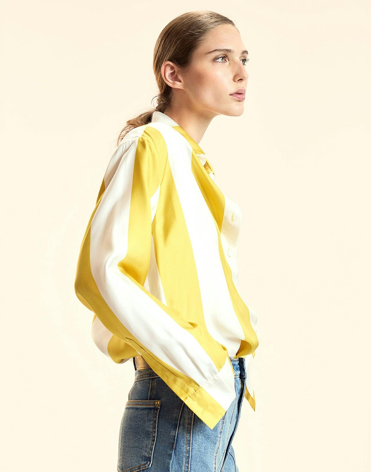 Collectible Stripe Silk Shirt