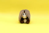 Coconet The Monkey/Coconut - Flipetz