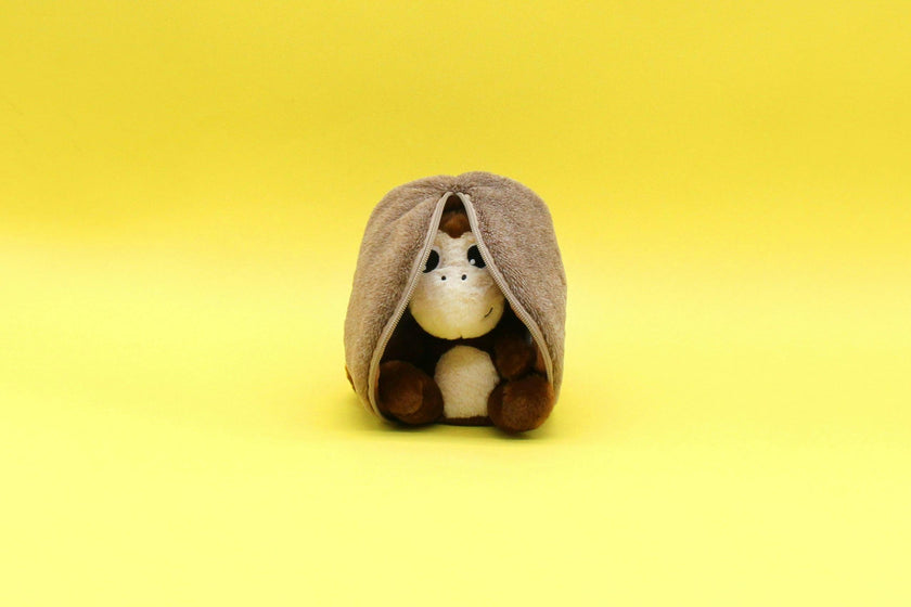 Coconet The Monkey/Coconut - Flipetz