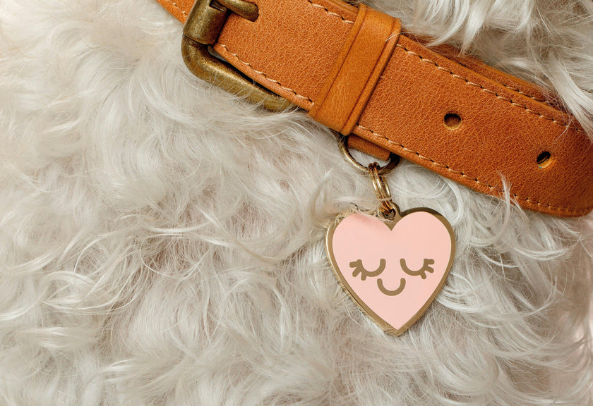 Smiling Heart Pet ID Tag