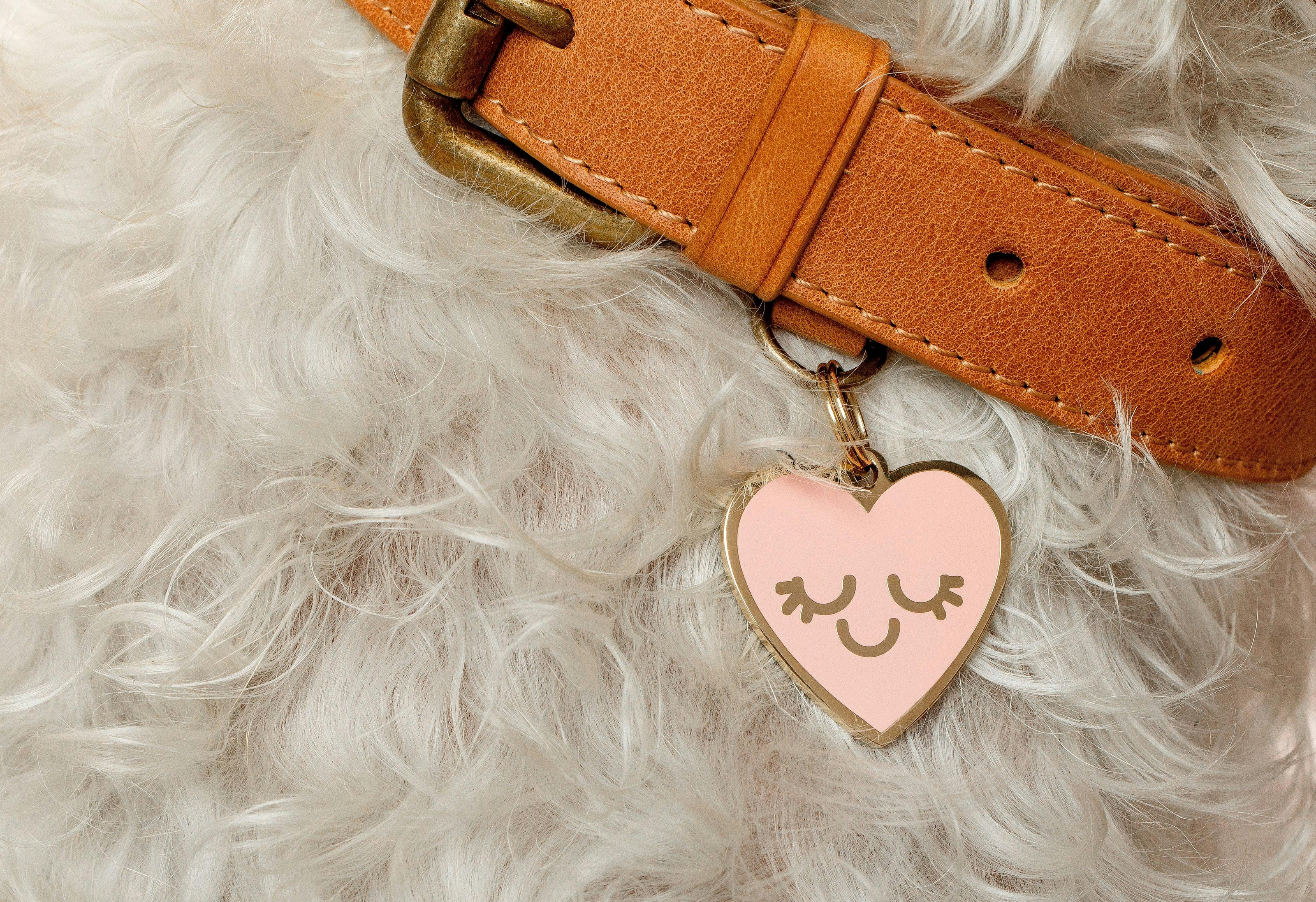 Smiling Heart Pet ID Tag