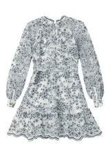Eliza Embroidered Mini Dress