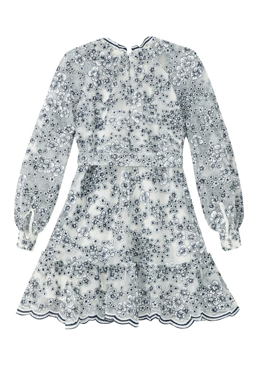 Eliza Embroidered Mini Dress