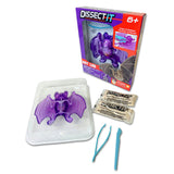 Dissect-It: Bat Lab