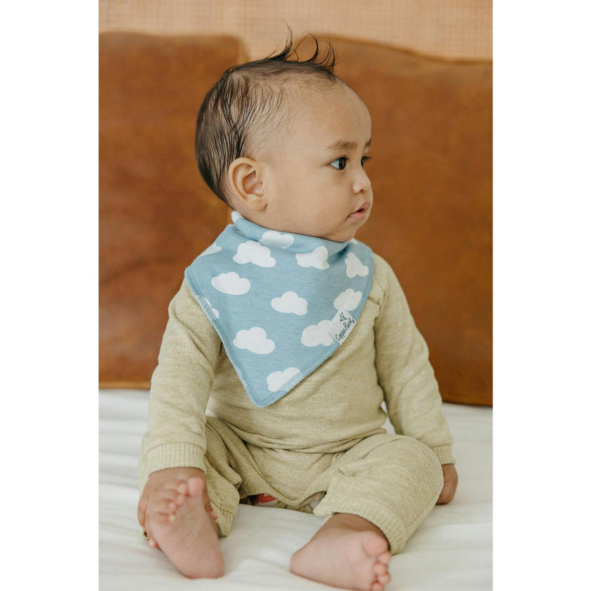 Farmstead Bandana Bibs