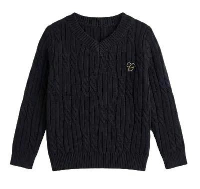 Cable Knit V-Neck Sweater