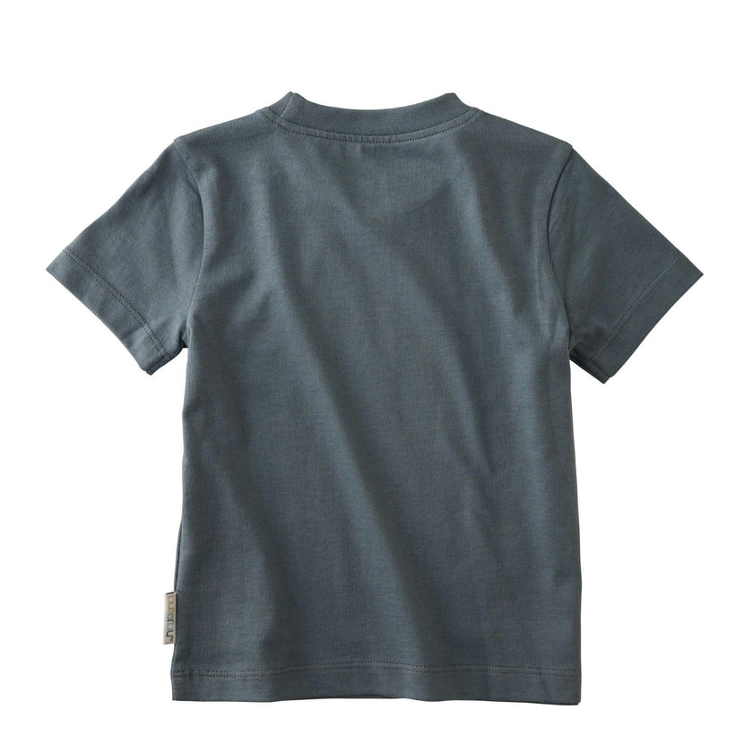 TAYLOR 5-Pack Toddler Short Sleeve T-Shirts