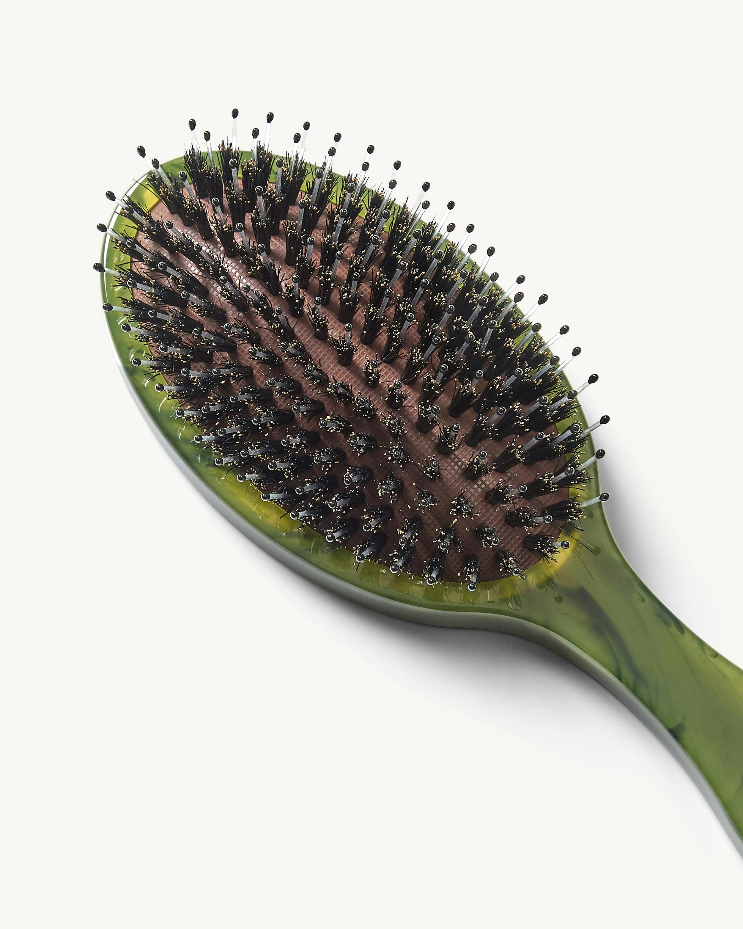 Everyday Hair Brush in Algae
