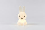 Mr Maria Miffy Lights