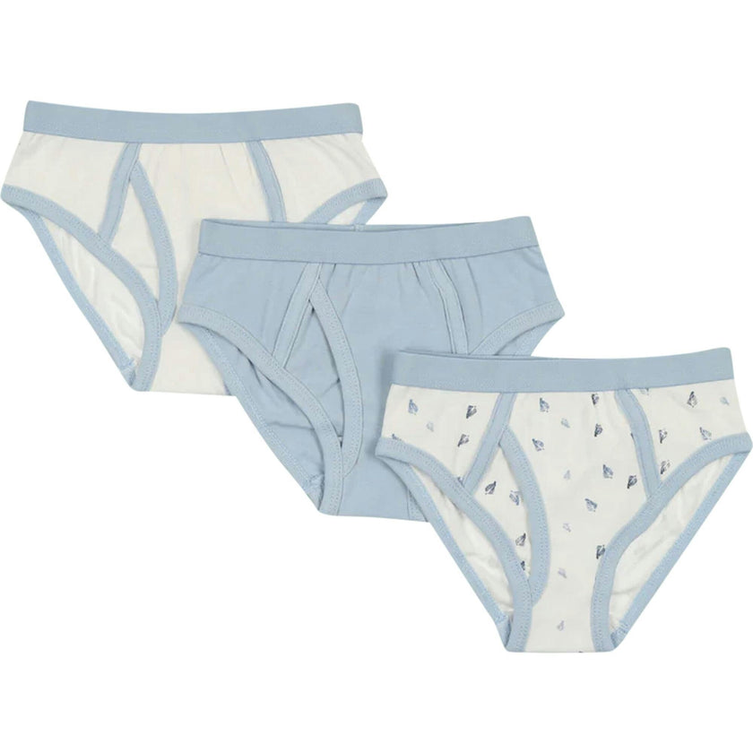 Boys Brief Blue 3pc Set