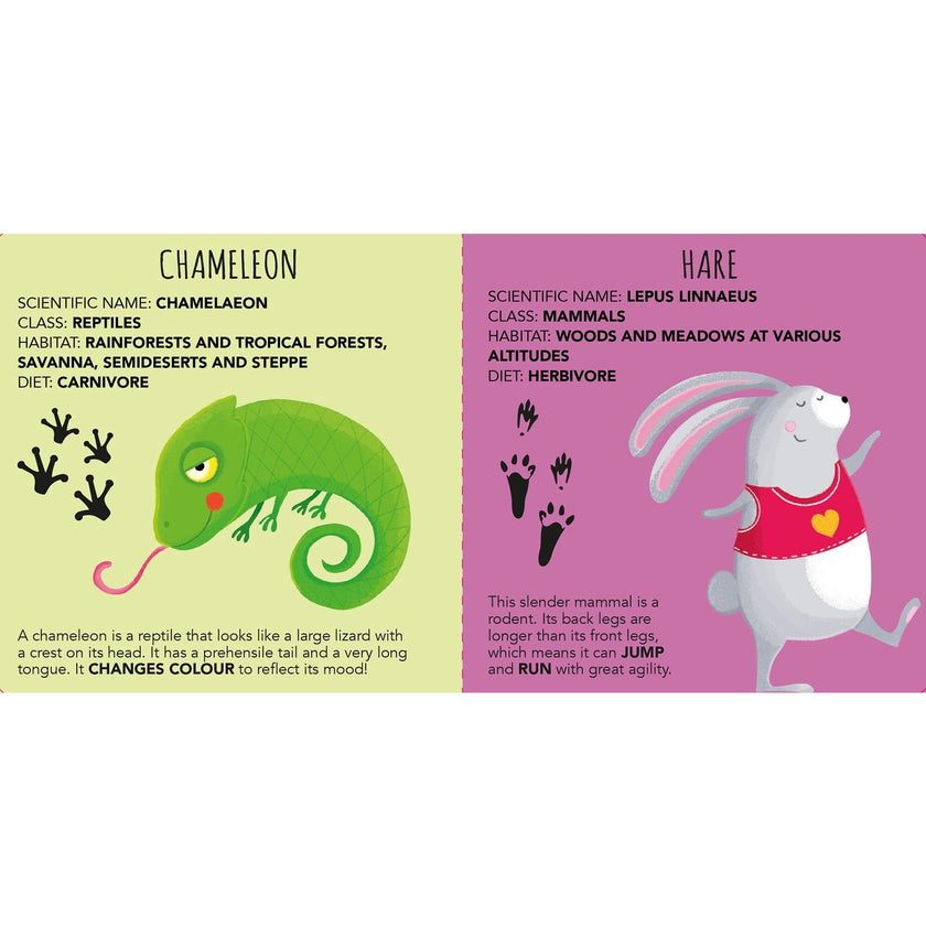 Edu-Blocks: Animals