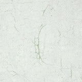 The Cloisters Panel Set 5-Yard Wallpaper