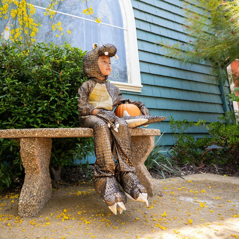 A Leading Role Signature T-Rex Dinosaur Child Dress Up