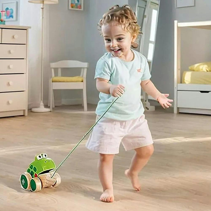 Hape: Pull Along - Wooden Green Toy