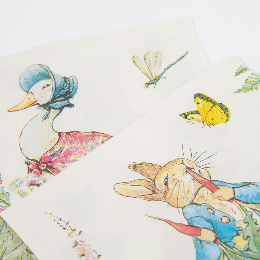 Peter Rabbit™ In The Garden Large Napkins