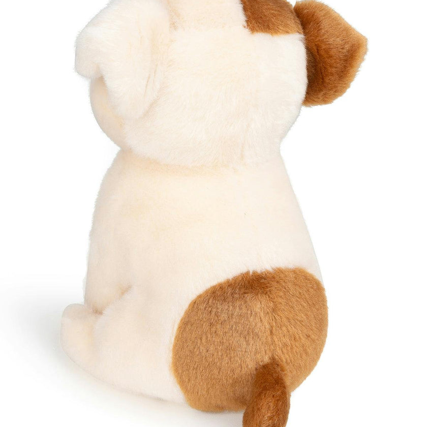 BT CHAPS BERTHA THE AMERICAN FLOPPY in Giftbox 6.5"