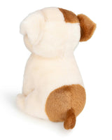 BT CHAPS BERTHA THE AMERICAN FLOPPY in Giftbox 6.5"